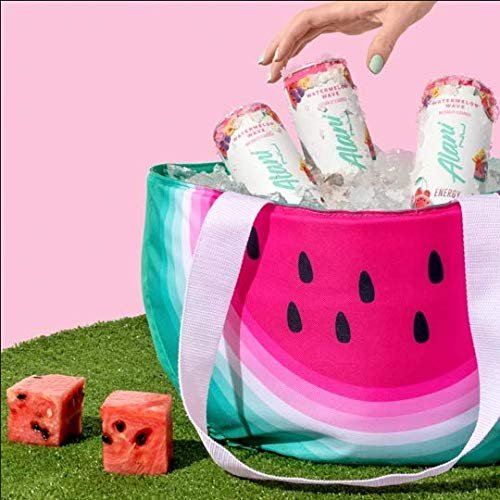 Alani Nu Sugar Free Energy Drinks 12 ounce Cans (Watermeon Wave, 6 Cans)