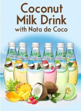 Coconut Milk Drink Original (Mango) 9.8FL OZ (Pack of 12)